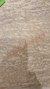 20161026_013445